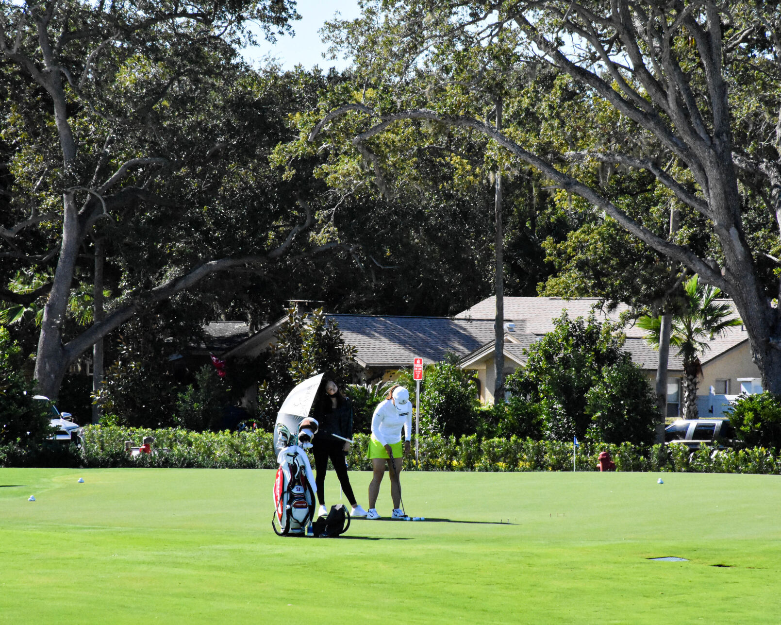 n-bee-LPGA2-111920.jpg
